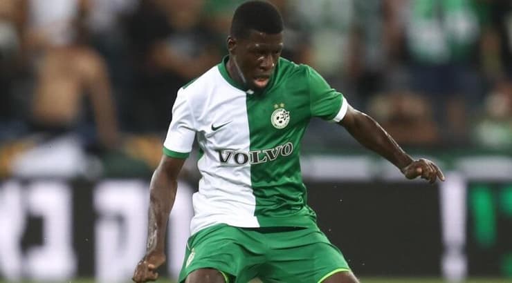 עלי מוחמד. עושה את העבודה של נטע לביא (רדאד ג'בארה) עלי מוחמד. עושה את העבודה של נטע לביא