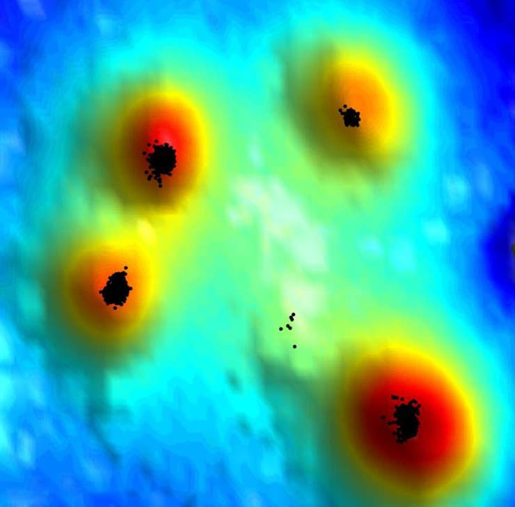 מפה טופוגרפית של מקטע על פני השטח של תא T. האזורים האדומים הם האצבעות הגמישות המתוארות במאמר (ככל שהצבע חם יותר, כך האזור המסומן גבוה יותר). קולטני CCR7 (בשחור) ממוקמים בנקודות הגבוהות ביותר על פני האצבעו