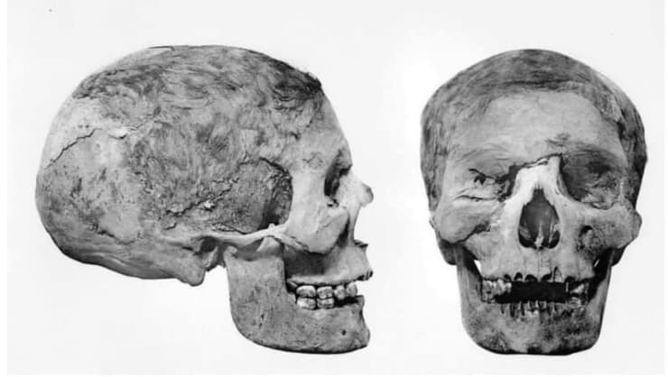 שחזור פנים של המומיה המצרית שפ-אן-אייזיס