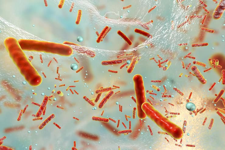 חיידקים עמידים לאנטיביוטיקה