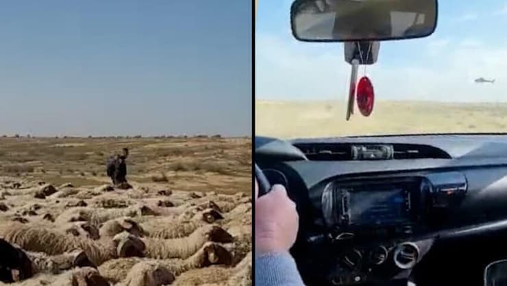  תיעוד: עימותים בין בדואים שפלשו עם עדר כבשים לשטח צבאי לבין כוחות המשטרה