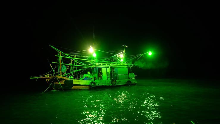 סירת דייג עם תאורה ירוקה