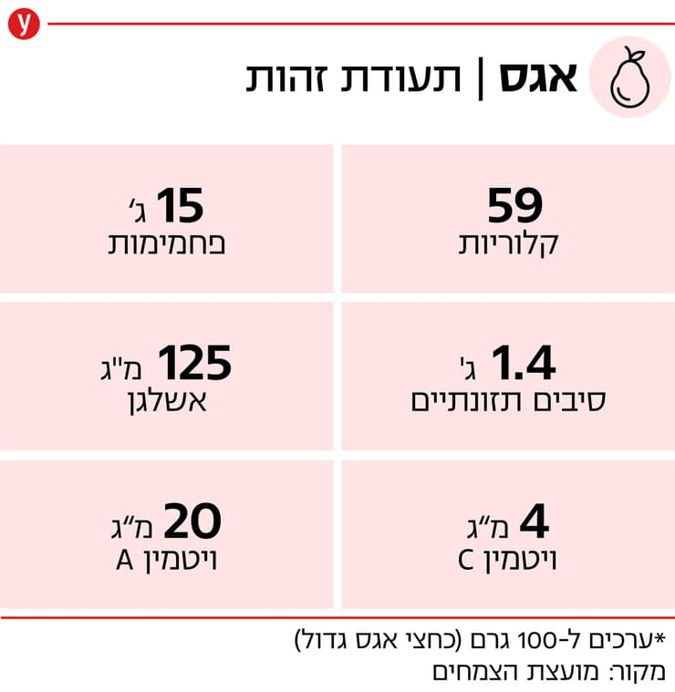 אגס