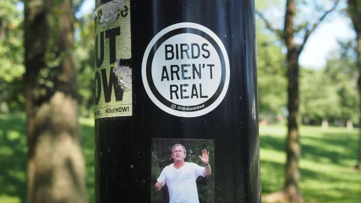 ציפורים אינן אמיתיות