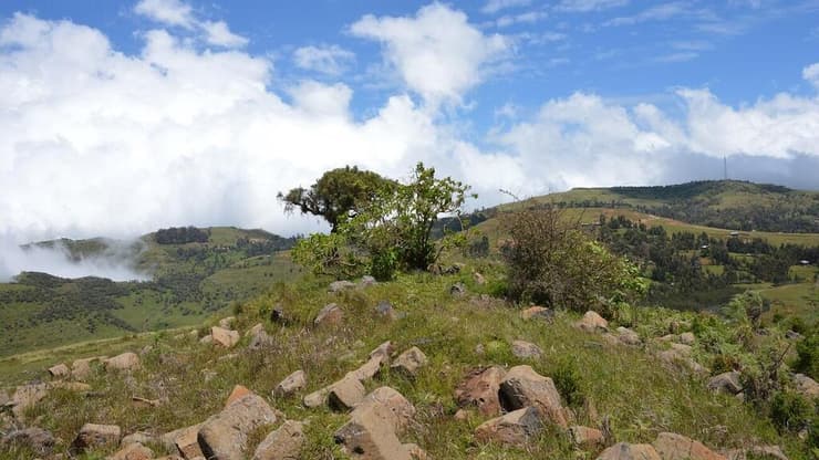 הרי סמיין באתיופיה