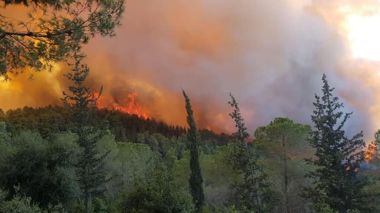 חזית אש מטפסת מנחל צובה לראש הר איתן, 16.8.2021. אפשר להתרשם מרמת כיסוי היער המחטני ומגובה הלהבות