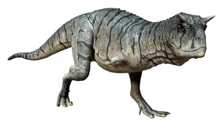 דינוזאור טורף ממשפחת האבליזאוריים