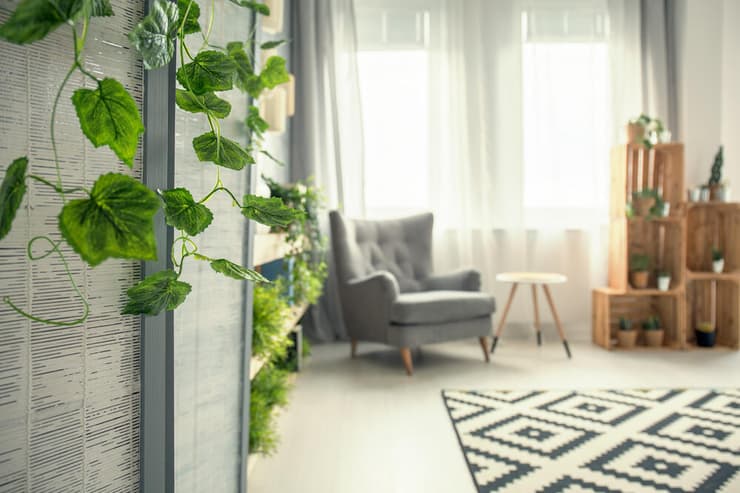 צילום: shutterstock