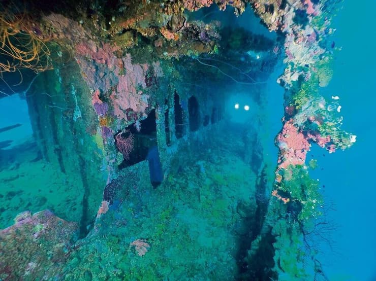 פוג'יקאווה מארו. תוצרת מיצובישי (צילום: Shutterstock) פוג'יקאווה מארו, מיקרונזיה