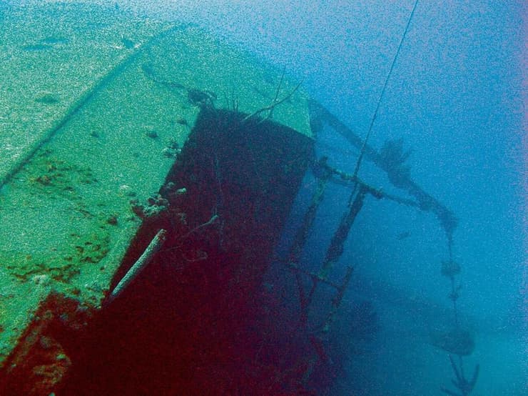 11,000 ק"ג של סמים. הילמה הוקר (צילום: Shutterstock) הילמה הוקר, האיים הקריביים ההולנדיים