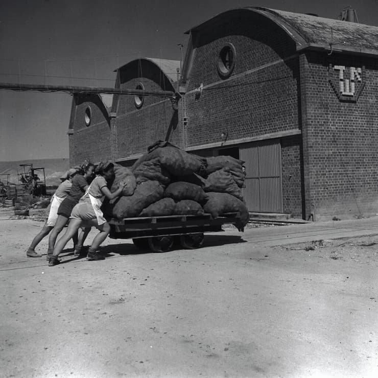 1945. בית חרושת לשימורים וריבות "אשד" באשדות-יעקב