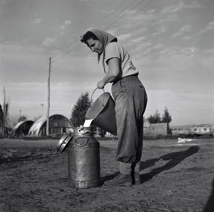 1951, מזיגת חלב בכפר מסריק