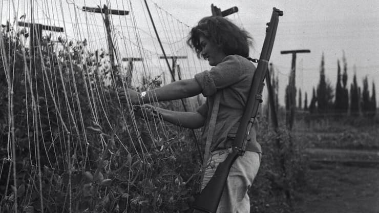 1948, עמק הירדן - העבודה בשדה נמשכת על אף המאורעות 