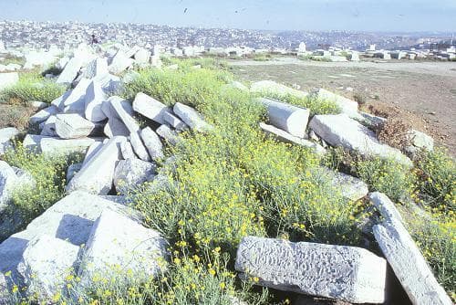 הרס בבית הקברות האסקוי בעקבות סלילת כביש