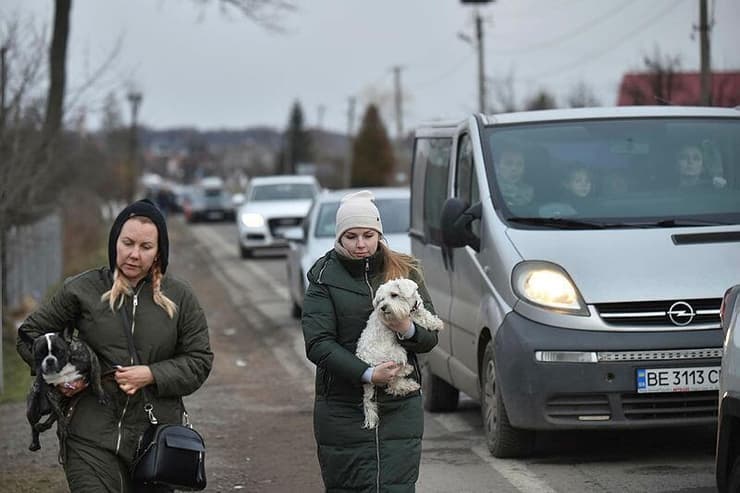 פליטות מאוקראינה עם כלבים בגבול פולין