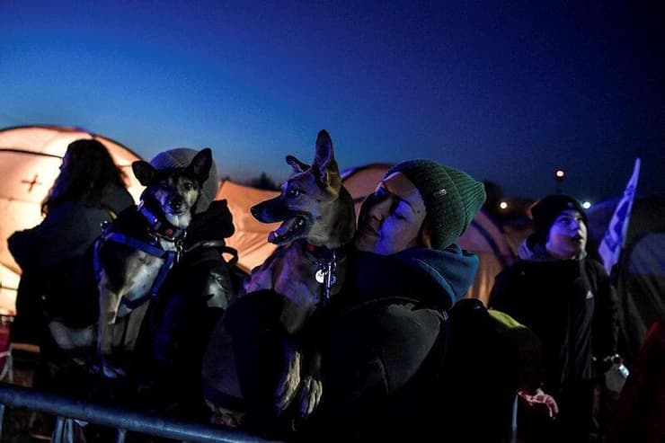פליטים מאוקראינה עם הכלבים שלהם במעבר גבול עם פולין