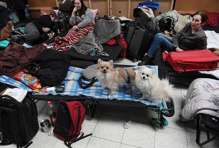 פליטים עם חיות המחמד שלהם במעבר הגבול עם פולין 