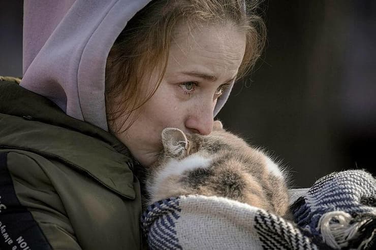 אישה שפונתה מאירפין מנשקת את החתול שלה, בנקודת איסוף ליד קייב