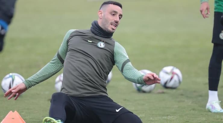 נטע לביא (עמרי שטיין) נטע לביא