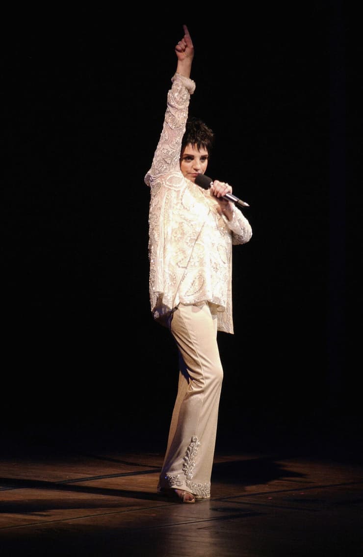 לייזה מינלי בהופעה, 2005
