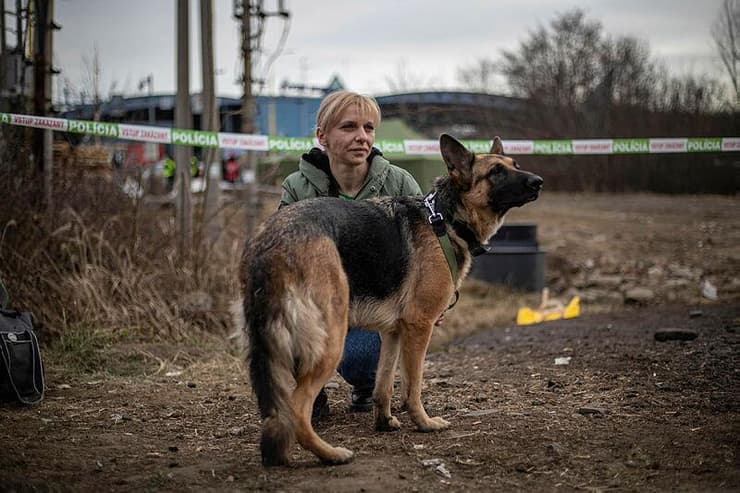 ויקה, שנמלטה מאוקראינה, עם הכלבה שלה בגבול סלובקיה