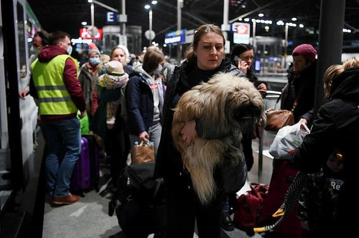 אישה שנמלטה מאוקראינה, הגיעה דרך פולין לברלין עם חיית המחמד שלה