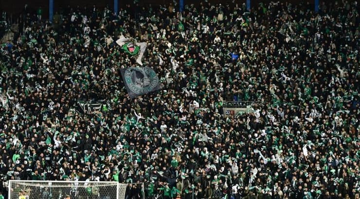 אוהדי מכבי חיפה