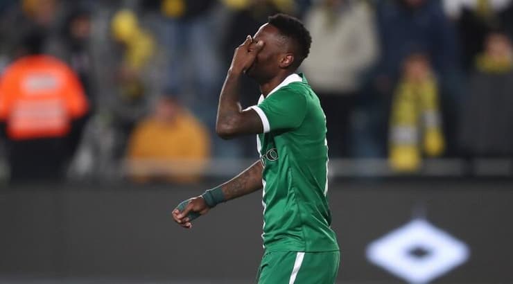 מאוויס צ'יבוטה חוגג