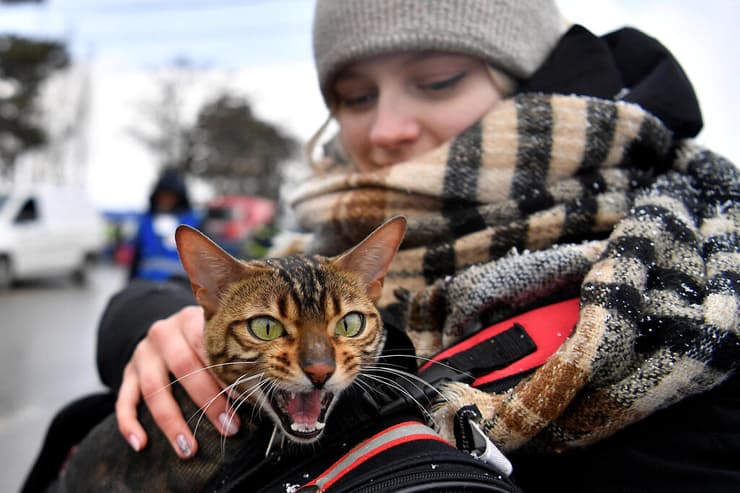 פליטה ו חתולה בסירט גבול אוקראינה רומניה 