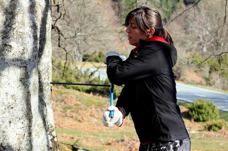 ד"ר אדורנה מרטינז דל קסטיו אוספת דגימות מגזע של עץ אשור בצפון ספרד