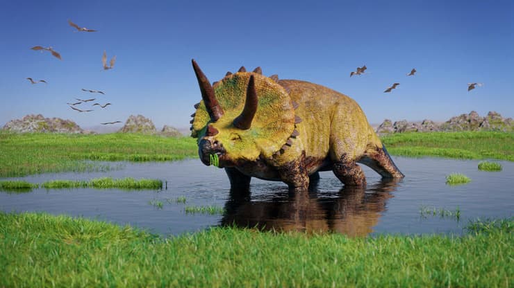 הדמיה של הדינוזאור טריצרטופס הורידוס