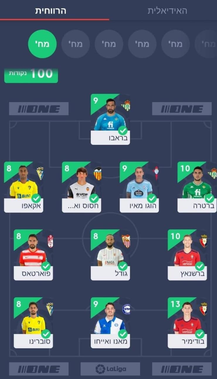 הנבחרת הרווחית של המחזור (מערכת ONE) הנבחרת הרווחית של המחזור