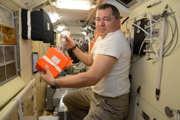 הוכחת היתכנות ראשונה. הקוסמונאוט אולג סקריפוצ'קה בעבודה על הניסוי של אלף פארמס בתחנת החלל הבינלאומית ב-2019 