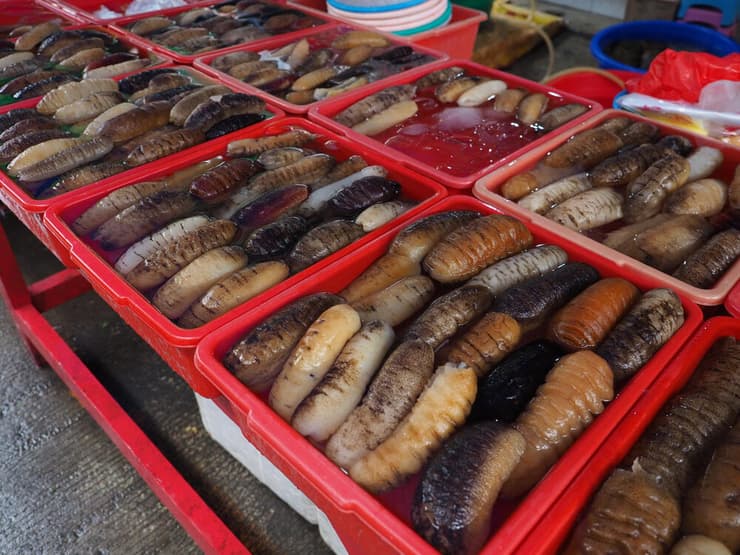 מכירה של מלפפוני ים בשוק האסייתי