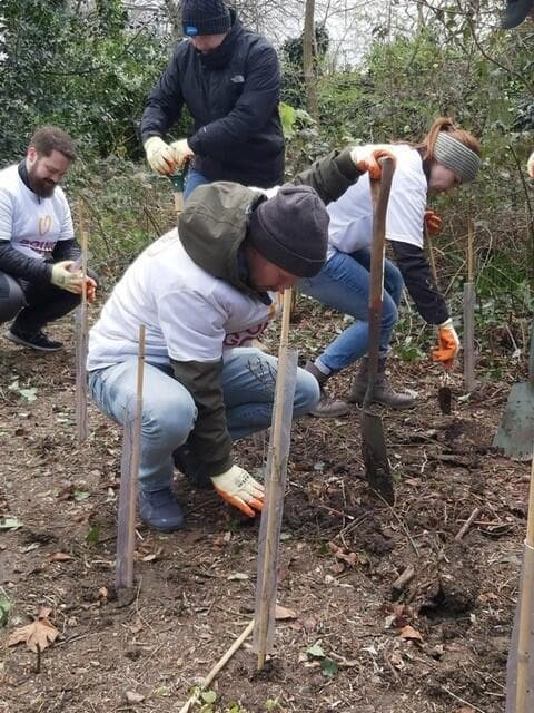 יום מעשים טובים בלונדון: נטיעת עצים בדרום לונדון עם ה-NGO HandsOn London