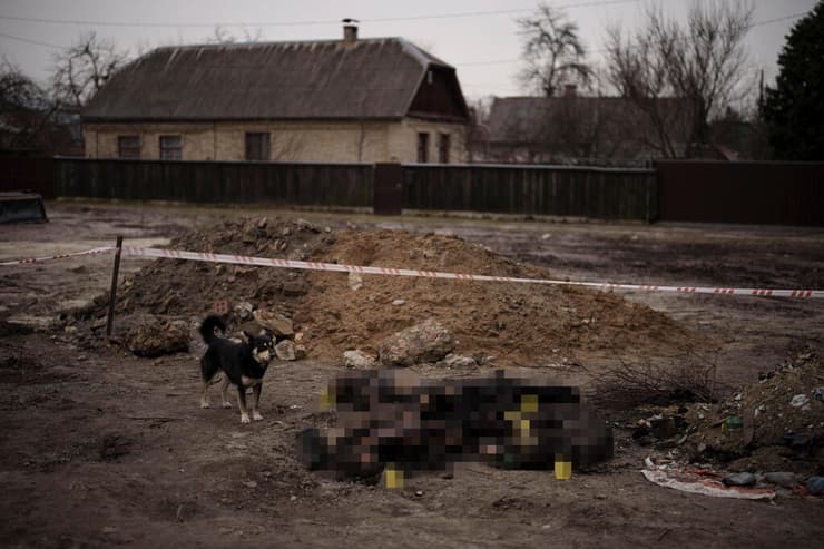 כלב עומד לצד שרידים שרופים של גופות לא מזוהות בוצ'ה אוקראינה מלחמה עם רוסיה
