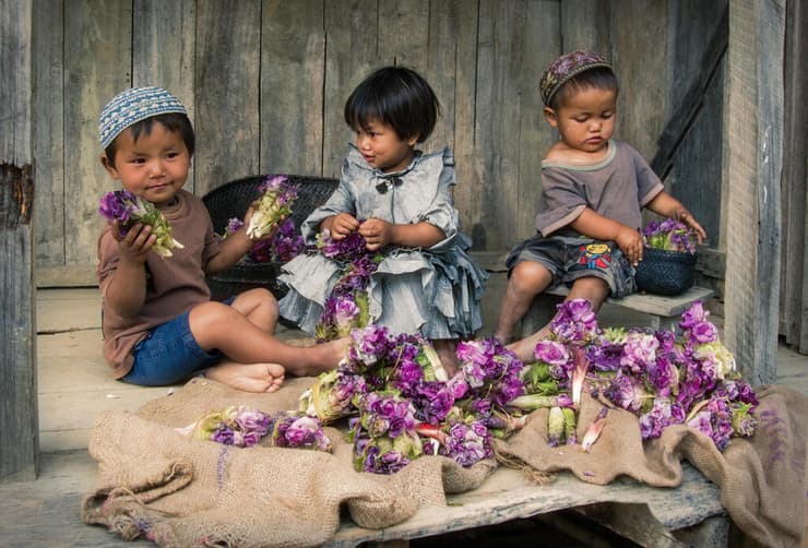 פרחי יער למאכל: ילדים עם "אייג", פריחת הג'ונגל המוגשת כמעדן. בני המנשה מאמינים שיש לצמח הזה סגולות לגרש רוחות רעות