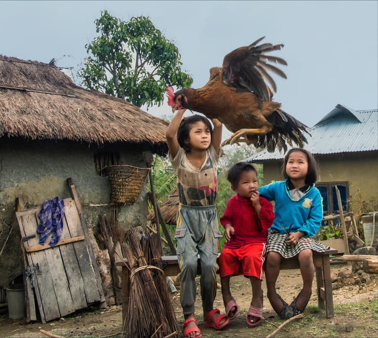 ילדים מתרגלים את מנהג הכפרות עם תרנגול חי