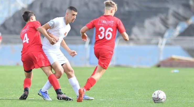 רפאל לוי מרעננה