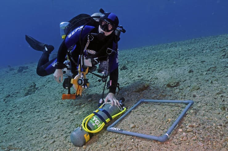 החוקרים אספו ממצאים מקרקעית הים