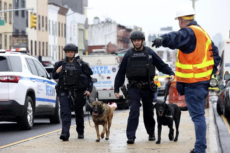 שוטרים עם כלבי הרחה בזירה בברוקלין 