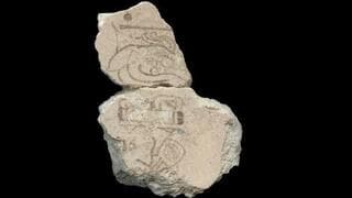 שני חלקי האבן שנמצאו ומהווים את יום '7 אייל' בלוח השנה צולקין בתרבות המאיה