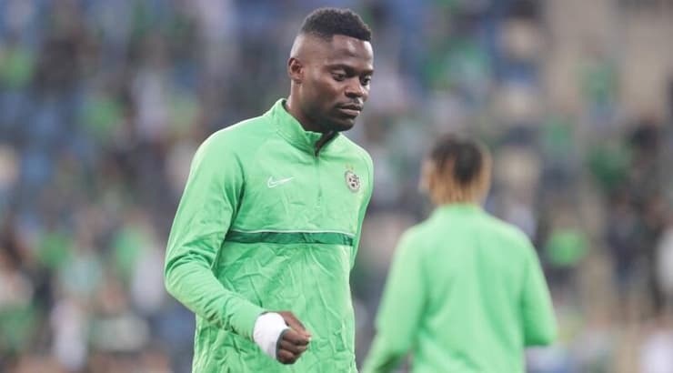 מאוויס צ'יבוטה