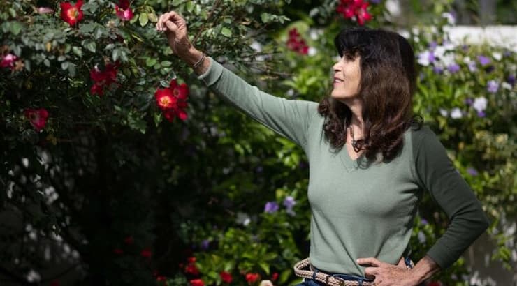 עדיין שרה. אסתר רוט שחמורוב