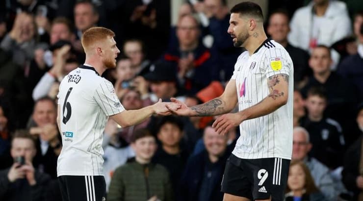 מיטרוביץ' חוגג עם הריסון ריד