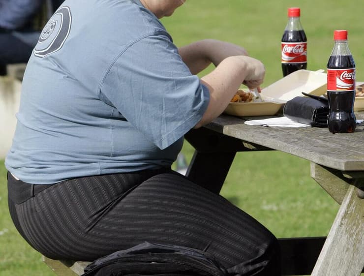השמנת יתר באירופה