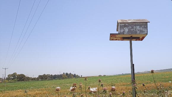 תיבות עם אוורור, שמתאימות לקינון גם בקיץ הישראלי. תיבת קינון של תנשמות בשדות קיבוץ נען