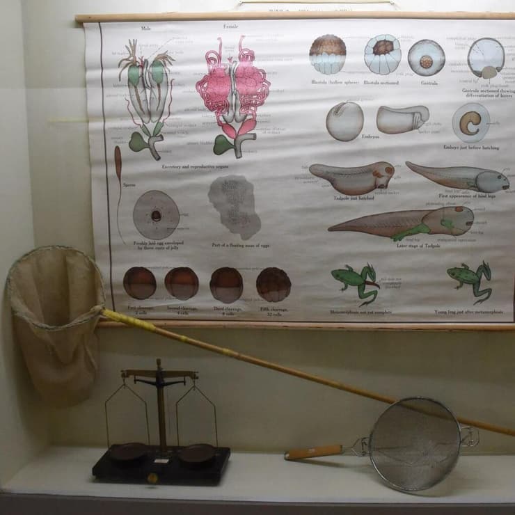 ממצאים מהמאה ה-19 שהתגלו בקיבוץ דן