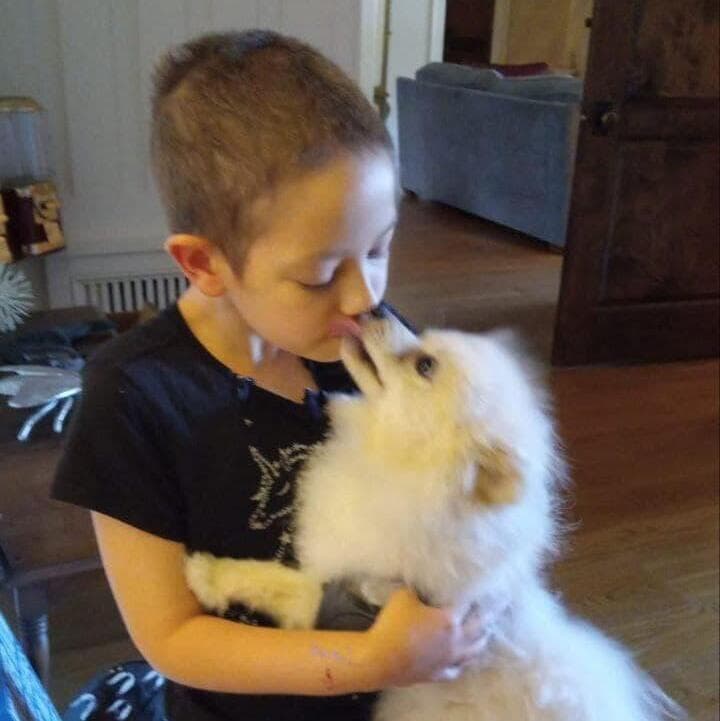 עמותת להושיט יד התנדבה להטיס את כלבה האהוב שישמח אותה בבית החולים בניו יורק.  