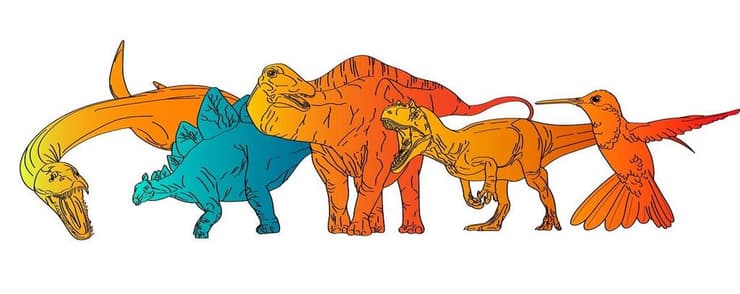 איור סכמטי שמראה את השוני בין דם חם לדם קר. משמאל לימין: פלזיאוזאורוס, סטגוזאורוס, דיפלודוקוס, אלוזאורוס ויונק דבש מודרני